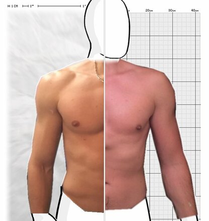 Torso Comparison