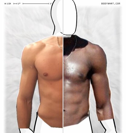 Torso Comparison