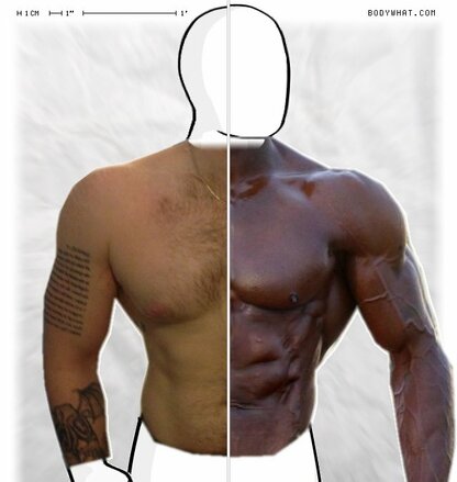 Torso Comparison