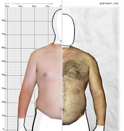 Torso Comparison