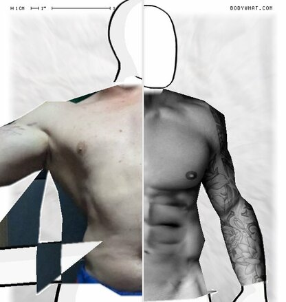 Torso Comparison