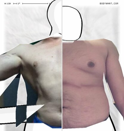 Torso Comparison