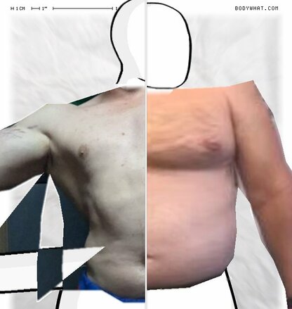 Torso Comparison