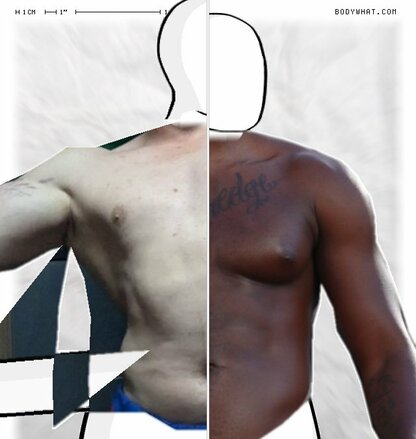 Torso Comparison