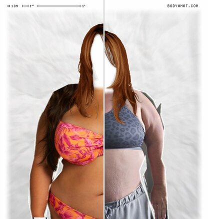Torso Comparison