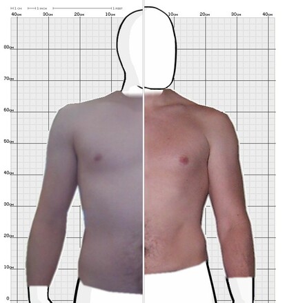 Torso Comparison