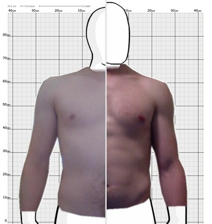 Torso Comparison