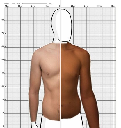 Torso Comparison