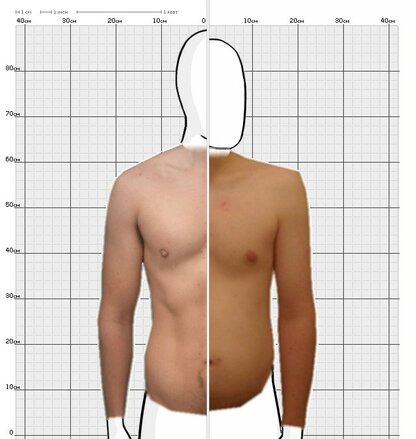 Torso Comparison