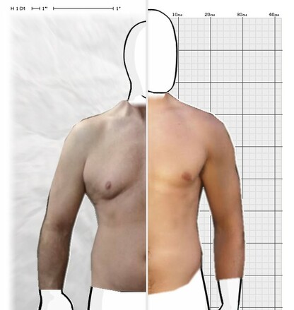 Torso Comparison