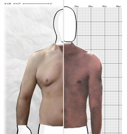 Torso Comparison