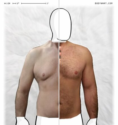 Torso Comparison