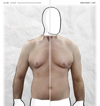 Torso Comparison