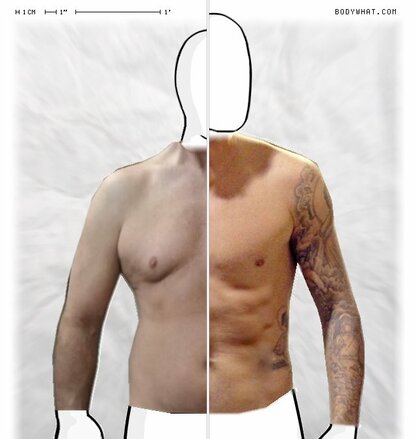 Torso Comparison