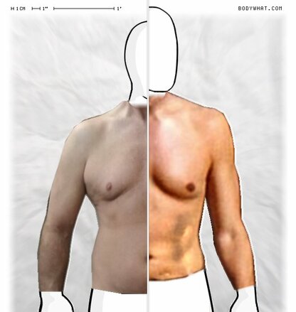 Torso Comparison