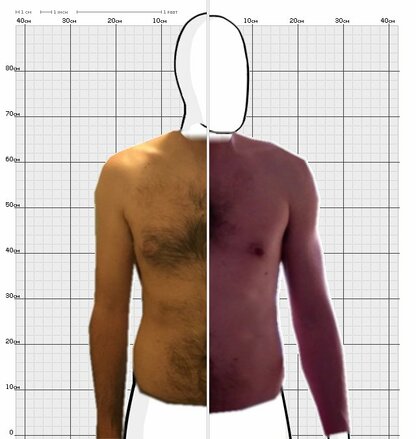 Torso Comparison