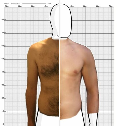 Torso Comparison