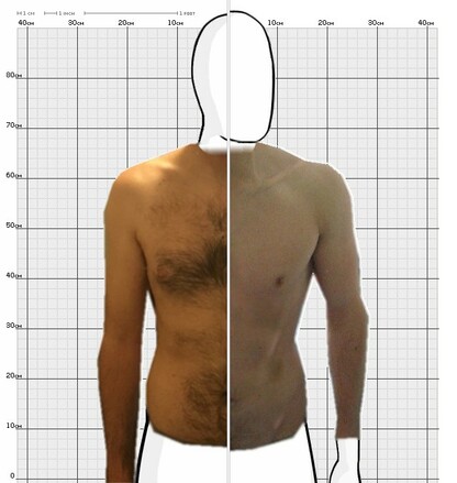 Torso Comparison