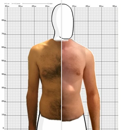 Torso Comparison