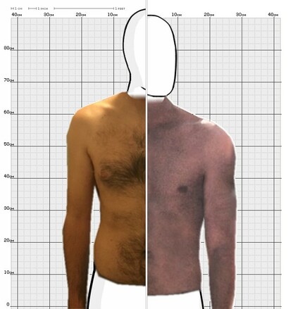 Torso Comparison