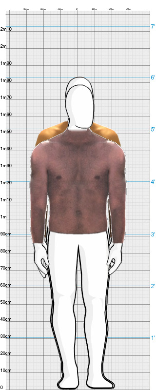 Full Size Comparison