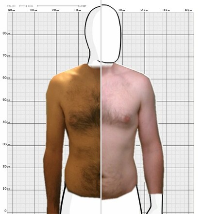 Torso Comparison