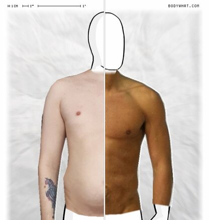 Torso Comparison