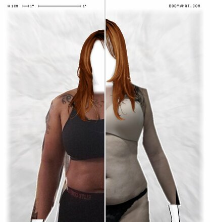 Torso Comparison
