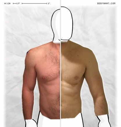Torso Comparison
