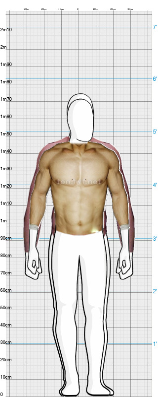 Full Size Comparison