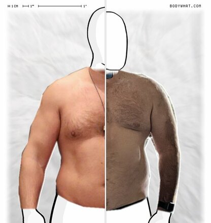 Torso Comparison