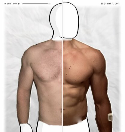 Torso Comparison