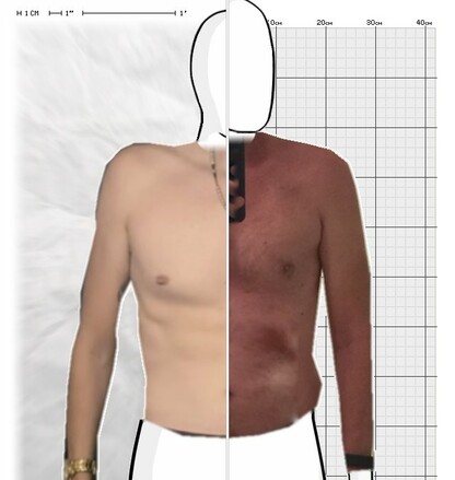 Torso Comparison