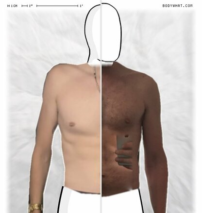 Torso Comparison