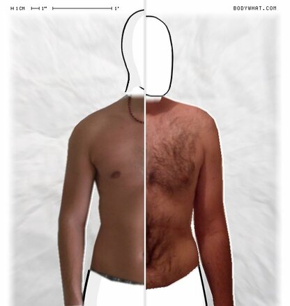 Torso Comparison