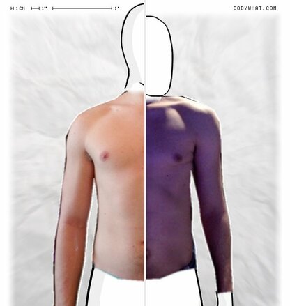 Torso Comparison