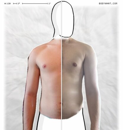 Torso Comparison