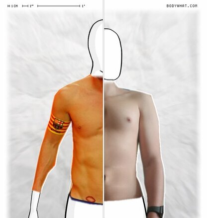Torso Comparison
