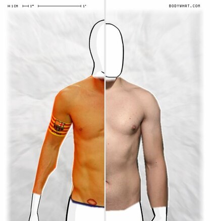 Torso Comparison