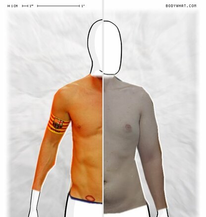 Torso Comparison