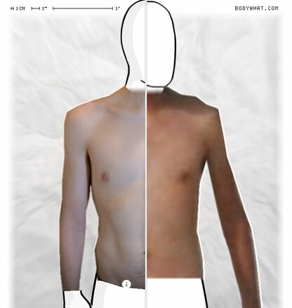 Torso Comparison