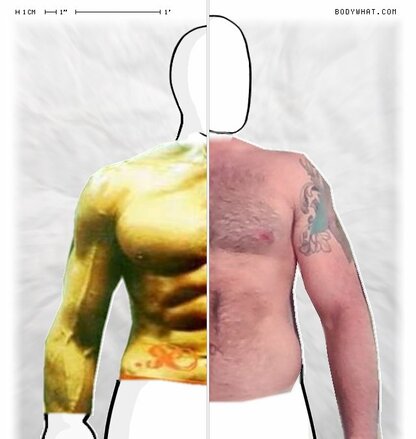 Torso Comparison