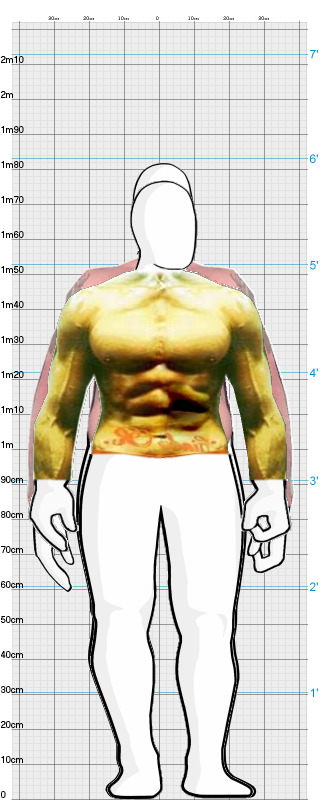 Full Size Comparison