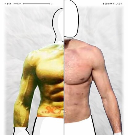 Torso Comparison