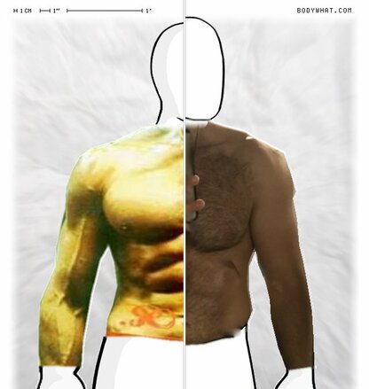 Torso Comparison