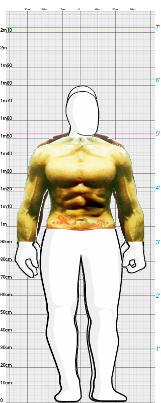 Full Size Comparison