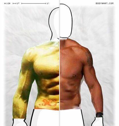 Torso Comparison