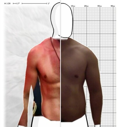 Torso Comparison