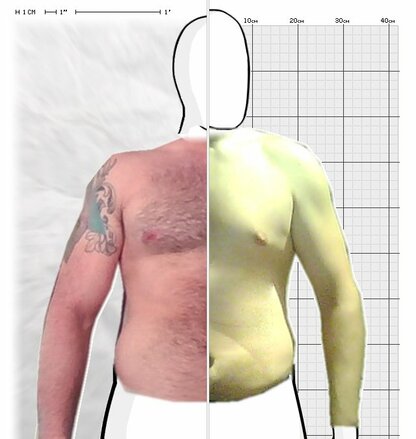 Torso Comparison