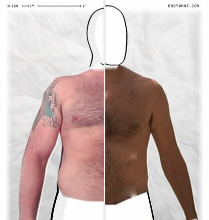 Torso Comparison